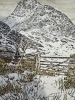 Gateway to Ty Fan . Snowdonia 