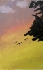 \"CHASING LIGHT\" By Kashive Wright