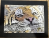 Coloured pencil swimming Tiger 