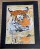 Watercolour swimming tiger frosty 