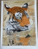 Watercolour swimming tiger frosty 