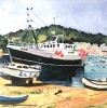 BM250 Fishing Boat, Teignmouth, Devon