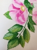 Pink wild roses watercolour 