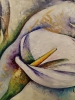 Callas