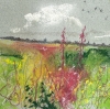 Rosebay Willowherb country lane swallows framed