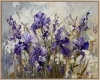 Lavender Breeze of irises.