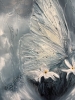 The Ice Butterfly