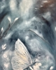 The Ice Butterfly