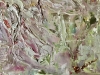 White Magnolia Veil – Original Textured Oil Painting on Canvas