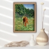Landscape. Horse in the field.