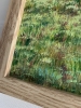 Landscape. Horse in the field.