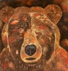 Malcolm the golden bear