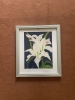 White Lily