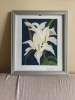White Lily