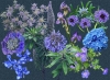 Impressions of Blue - Dark or Light background