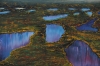 Over the October Wetlands