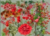 Red Impressions