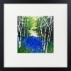 Seasons - Spring Silver Birches, Bluebells