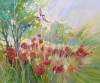 Summer Harbingers