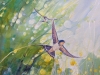 Summer Harbingers