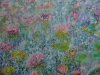 Summer Waterlilies 2025