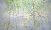The Mother Tree