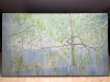 The Mother Tree