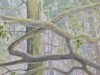 The Mother Tree