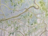 The Mother Tree