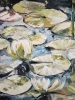 WATER LILIES