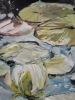 WATER LILIES