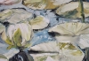 WATER LILIES