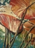 WATER LILIES  III