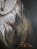 SCREECH OWL