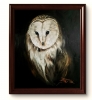 SCREECH OWL
