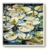 WATER LILIES