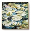 WATER LILIES