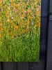 Tropical Crush Meadow #9