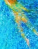 wild water swimmer 1