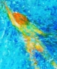wild water swimmer 1
