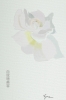 White Rose Hanzi