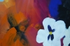 XL Yummy Colourful Pansy Wildflowers 5256