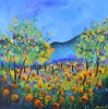 Red poppies in Provence 