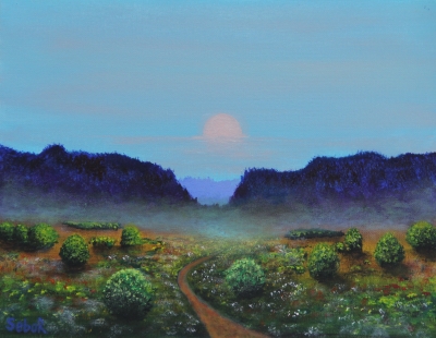 Daylight Moon