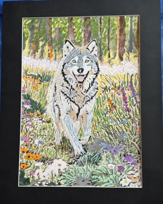 Wolf enjoying spring sunshine and flowers 