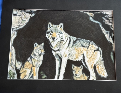 She wolf in Den with Pups 
