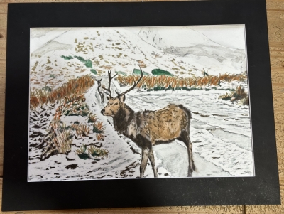 Stag on a snowy Glencoe 