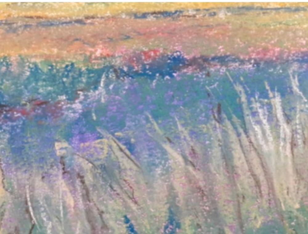 View of the Cornfield