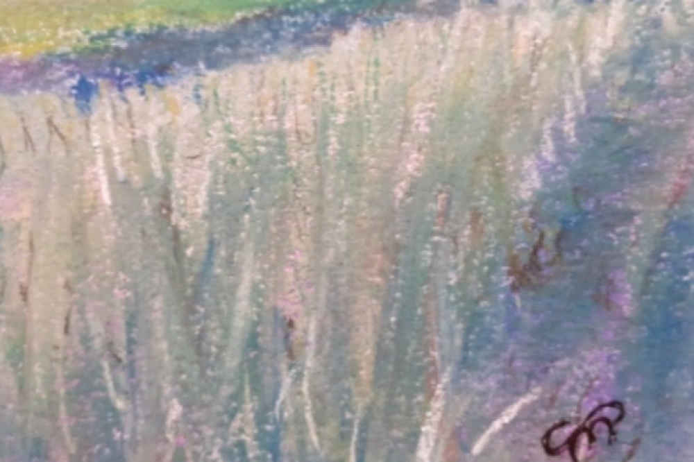View of the Cornfield