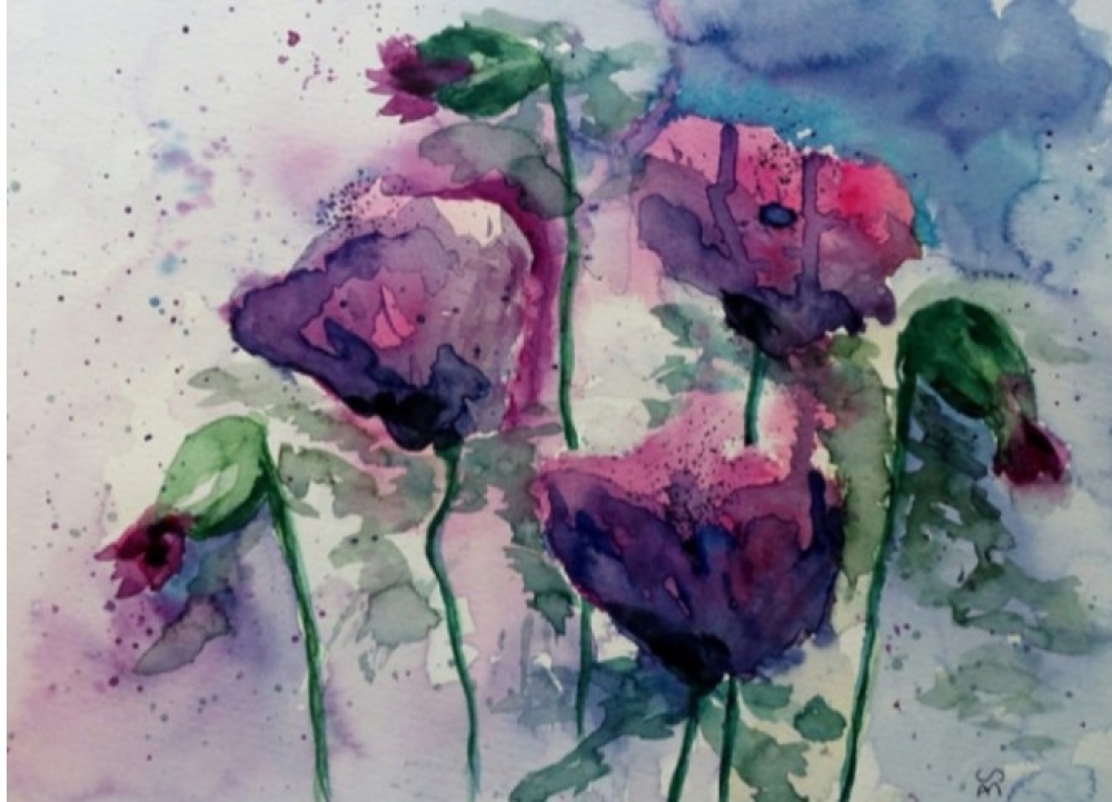 Poppies